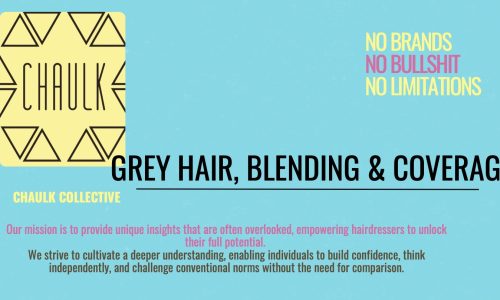 Grey and White Hair Coverage and Blending Webinar