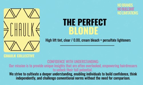The Perfect Blonde Webinar